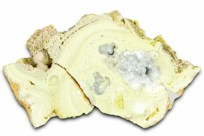 Clay Canyon Crandallite and Wardite - Old Collection Stock #361997